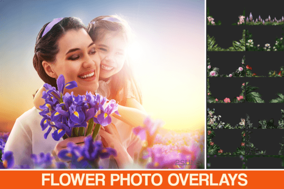 Templates Flowers Overlays Backdrop: Elevating Visual Design with High-Resolution Botanical Assets